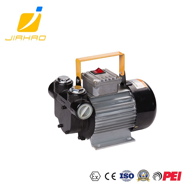 DYB80-AC220 110柴油泵
